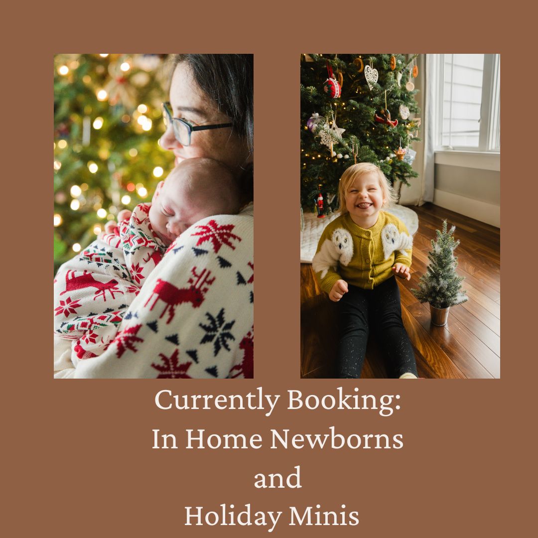 currently booking in home newborns and holiday sessions